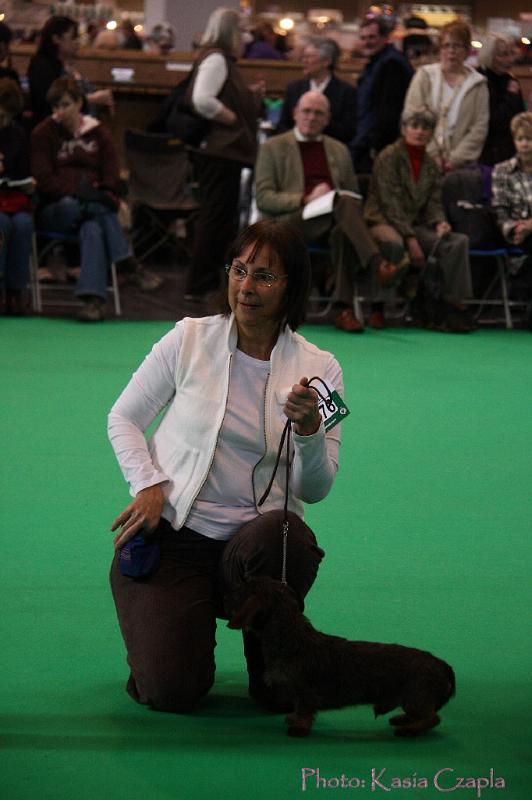 Crufts2011_2 703.jpg